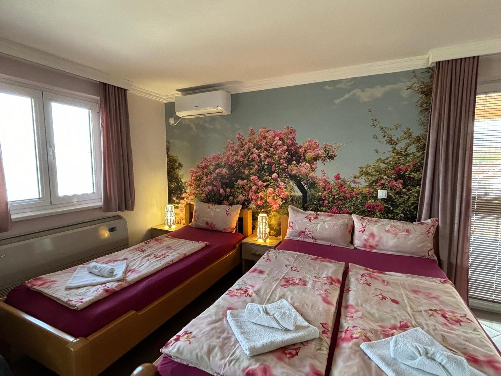Apartmani "Marija" Golubac Exteriér fotografie