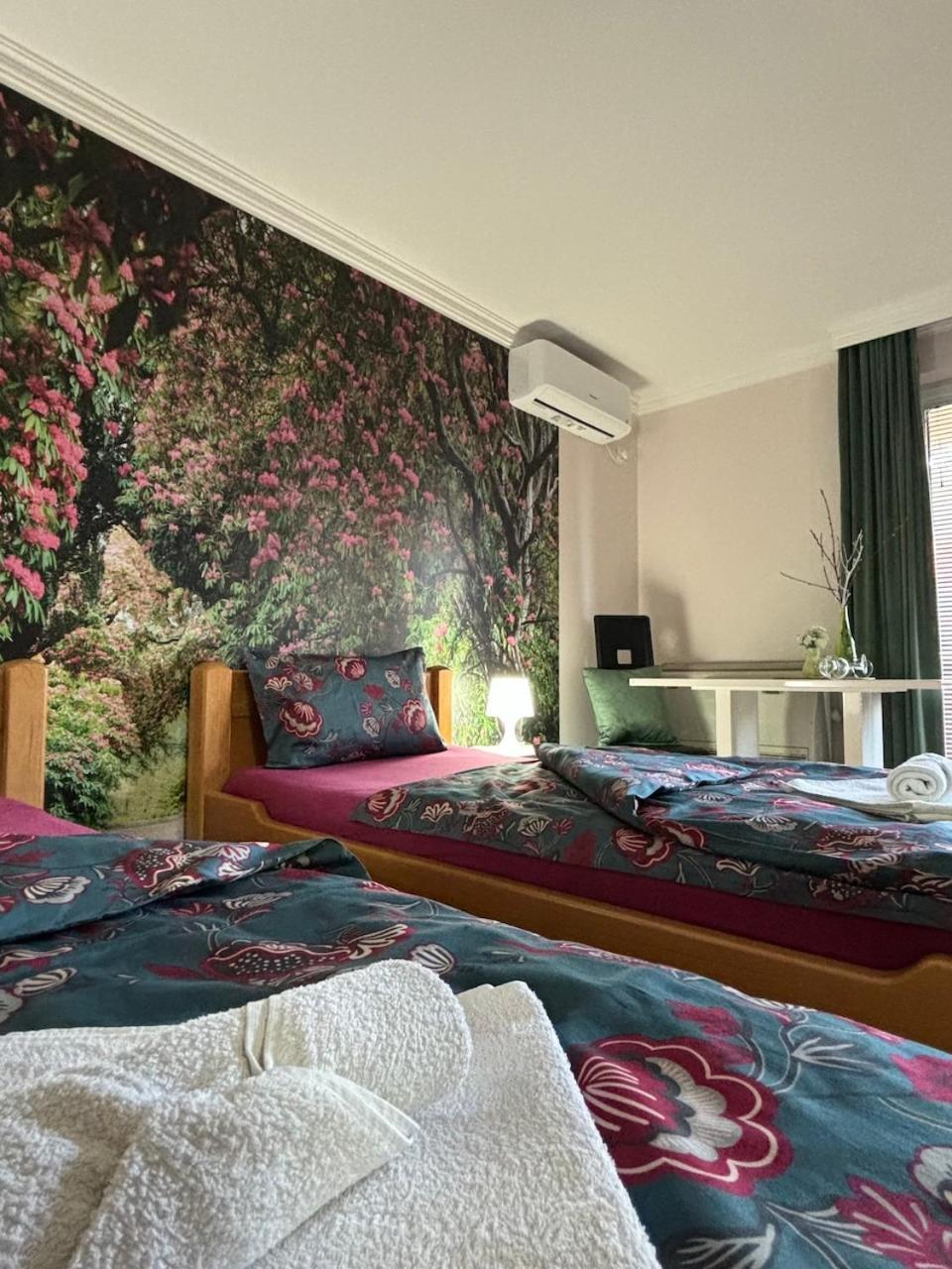 Apartmani "Marija" Golubac Exteriér fotografie