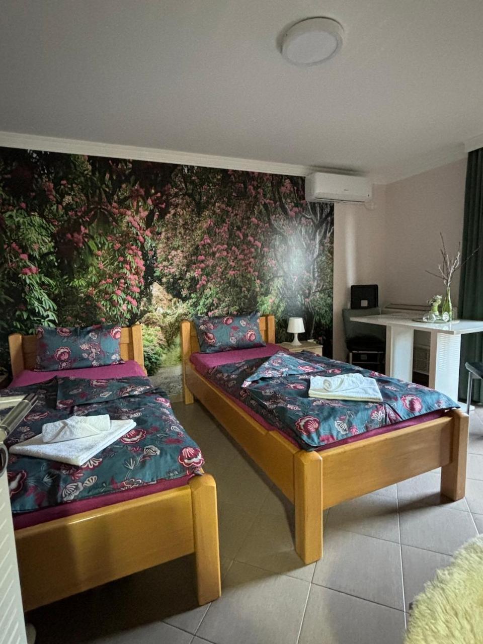 Apartmani "Marija" Golubac Exteriér fotografie