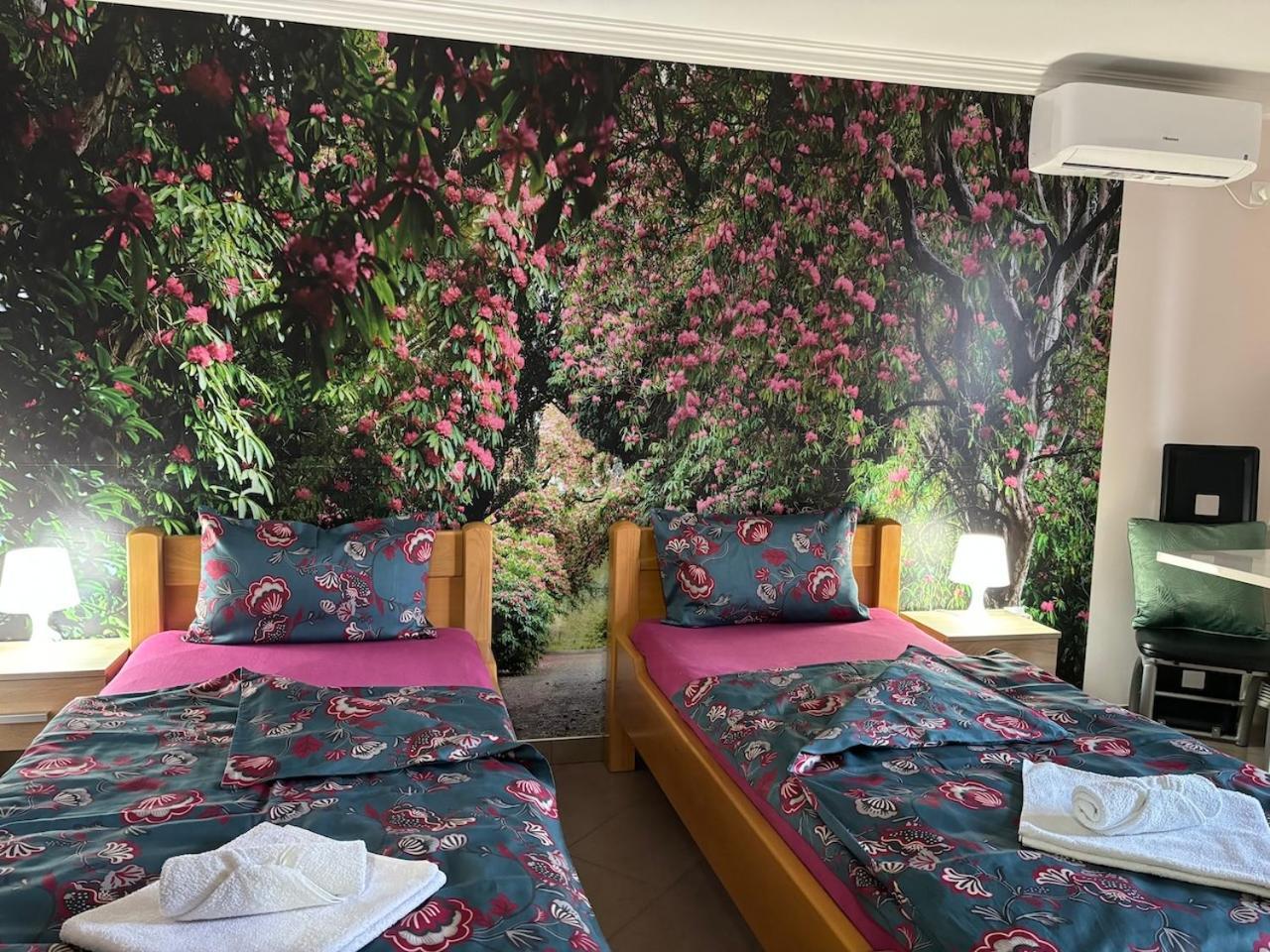 Apartmani "Marija" Golubac Exteriér fotografie