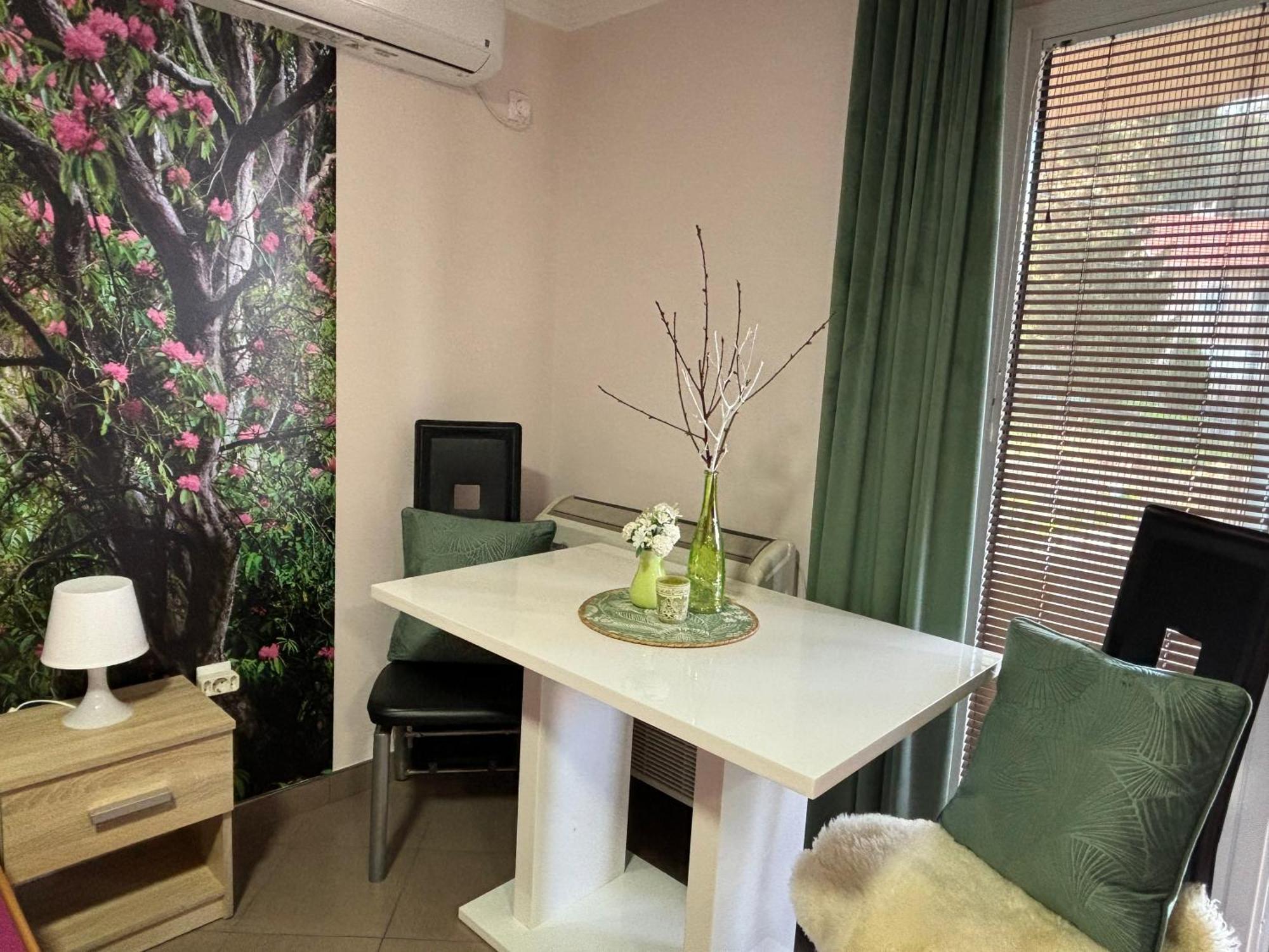Apartmani "Marija" Golubac Exteriér fotografie